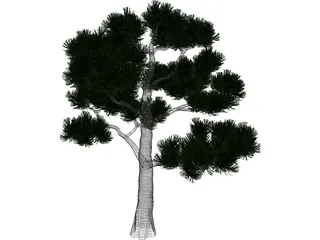 Pine Tree 3D Model preview