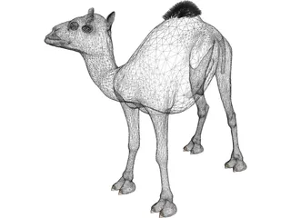 Camel 3D Model preview