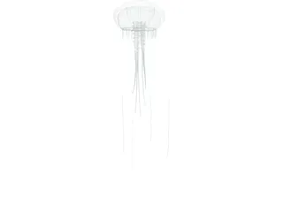 Jellyfish 3D Model preview
