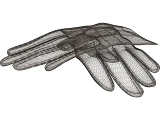 Gloves 3D Model preview