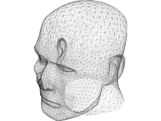 Male Human Head 3D Model preview