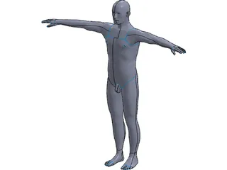 Man 3D Model preview