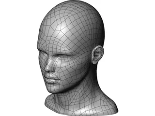 Human Head and Neck 3D Model preview