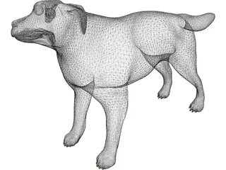Dog 3D Model preview