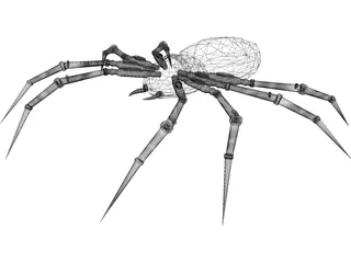 Poison Spider 3D Model preview