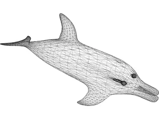 Dolphin 3D Model preview