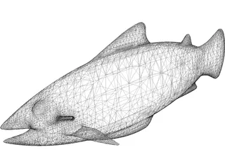 Salmon 3D Model preview