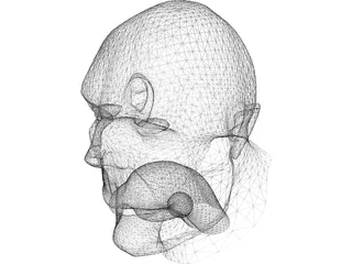 Head Hooligan-Like Uman 3D Model preview