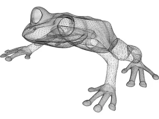 Frog 3D Model preview