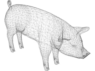 Pig 3D Model preview