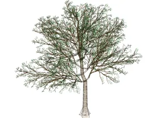 Arboli Tree 3D Model preview