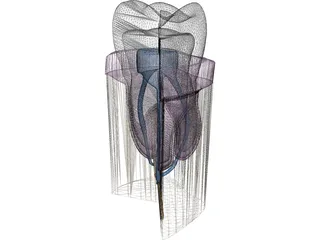 Molar Cutaway 3D Model preview