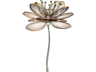 Camellialike 3D Model preview