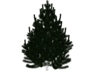 Pine Tree 3D Model preview