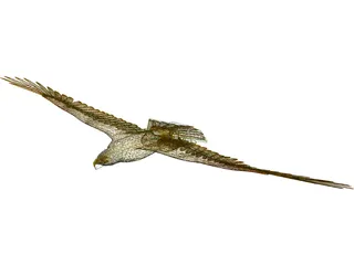 Eagle [Animated] 3D Model preview