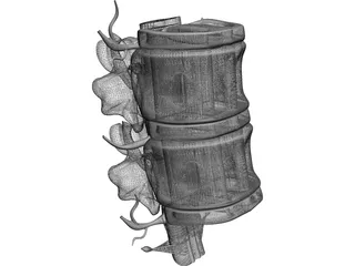 Lumbar Vertebrae 3D Model preview