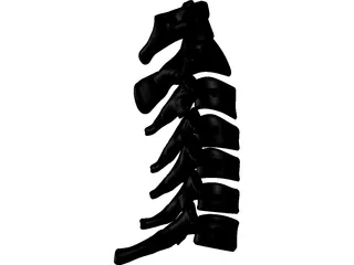 Vertebrae Cervical Bones 3D Model preview