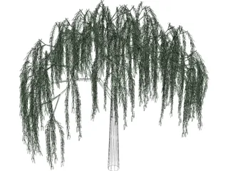 Willow Tree 3D Model preview