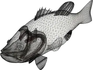 Largemouth Bass 3D Model preview