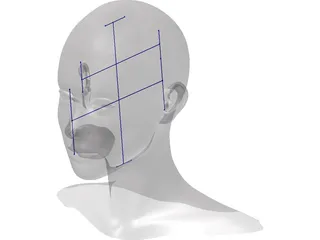 Head Female 3D Model preview