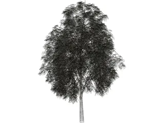 Pine Wood Tree 3D Model preview