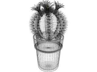 Cactus Pottet Round 3D Model preview
