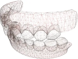 Jaw and Teeth 3D Model preview