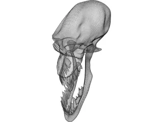 Monster Skull 3D Model preview