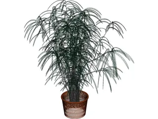 Indoor Plant 3D Model preview