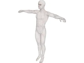Human Body with Muscles 3D Model preview