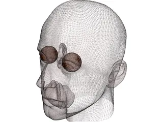 Man Head 3D Model preview