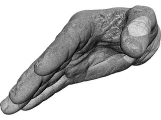 Right Hand Male 3D Model preview
