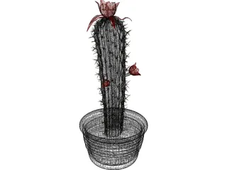 Castus 3D Model preview