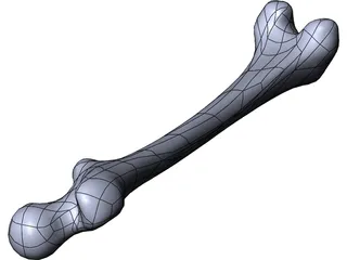 Femur Bone 3D Model preview