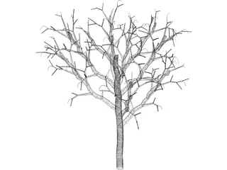 Dead Tree 3D Model preview