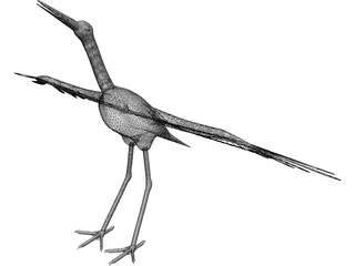 Ciconia Stork 3D Model preview