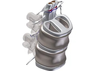 Vertebra 3D Model preview