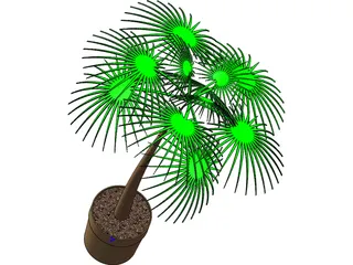 Palm Tree Plant 3D Model preview