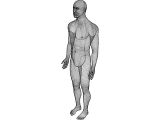 Man 3D Model preview