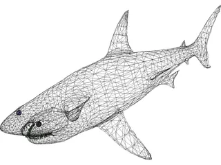 Great White Shark 3D Model preview