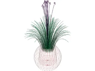 Plant Flower 3D Model preview