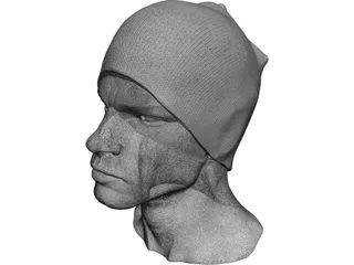 Head for Printing Decimated 3D Model preview