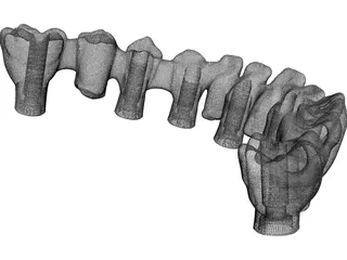 Reduced Mandibula Arcade 3D Model preview