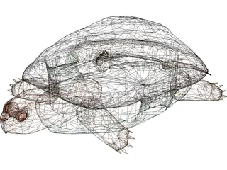 Turtle 3D Model preview