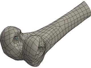 Human Knee 3D Model preview