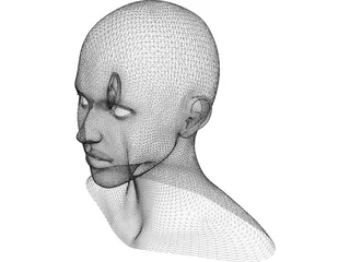 Girl Head Human 3D Model preview