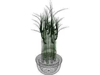 Lucky Bamboo 3D Model preview