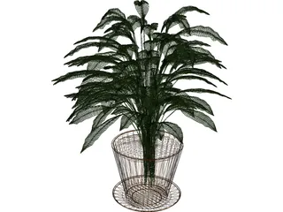 Spathiphyllum 3D Model preview