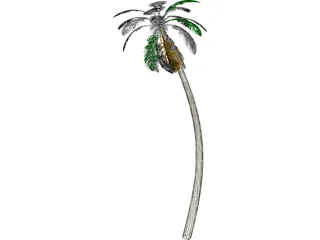 Tree Palm 3D Model preview