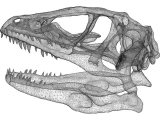 Dinosaur Skull 3D Model preview